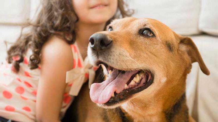 A young girl sits with her dog.