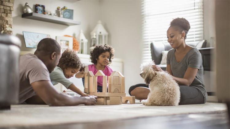 A family building blocks while spending time with their dog.