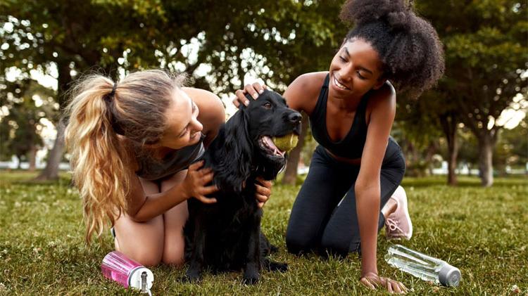 两个年轻女子和她们的救援犬玩耍.